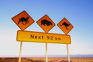 Camel, wombat and kangaroo warning sign. Nullarbor Australia