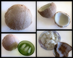coconut3